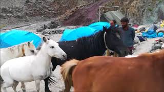 preview picture of video 'Stok Kangri trek 2017 | Leh Ladakh | khardungla pass'