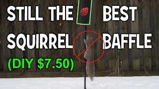 STOP SQUIRRELS from EATING your BIRD SEED- Squirrel Baffle Update 2020