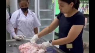 สาขาวิชาสัตวศาสตร์