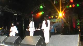 The Silvertones - 6/7 - Gun Fever - Reggae Jam 20012