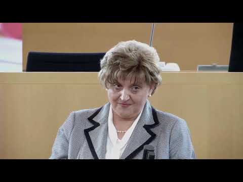 2019 04 10 Jugend debattiert - Landesfinale im Thüringer Landtag