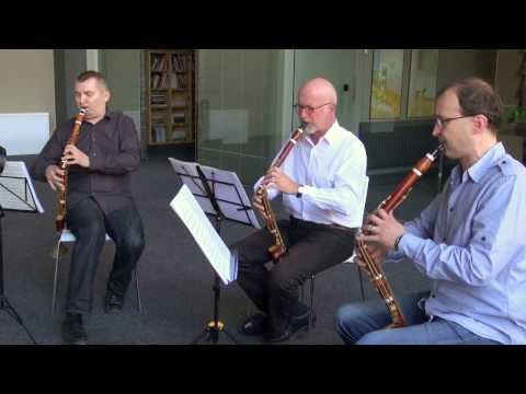 Lotz Trio - Basset Horn trio - W.A.Mozart: Zauberflöte - Marsch der Priester HD