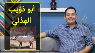صورة شرح عينية أبي ذؤيب الهذلي  - الصياد يقتل ثور المها