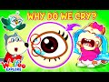 Why Do We Cry Wolfoo Explore Human Body Educational Videos For Kids