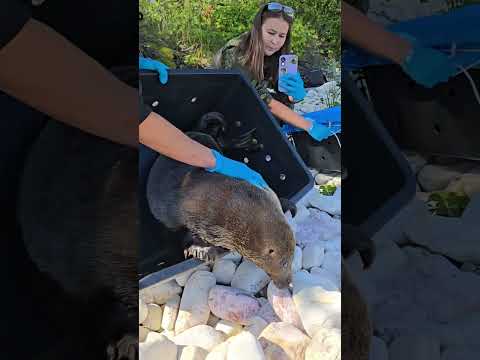 День выпуска. Часть 3 — Они вышли к Байкалу 🦭🌊
