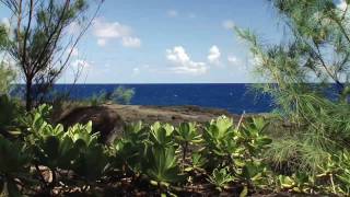 preview picture of video 'Hawaii Kilauea vacation home'