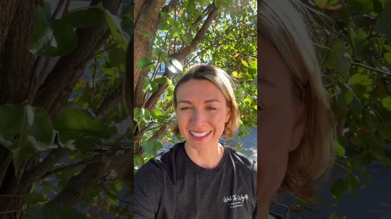 Watch Ms. Christie Ann's welcome video