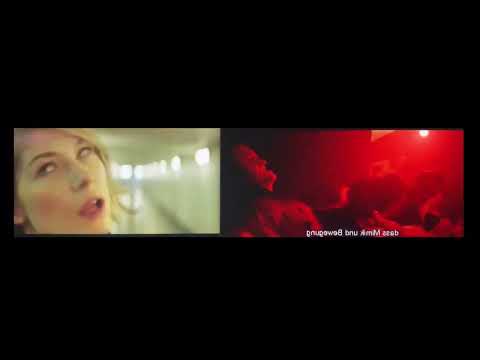 IRREVERSIBLE THE MOVIE VS MORE OF THE TRUTH