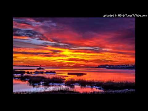 Photographer vs. Markus Schulz - Airport Perception (Daniel Barba Mashup)