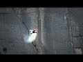 2026 S First Wingsuit Deaths Are Nearly Unbelievable