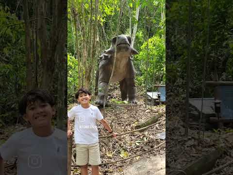 Terra dos dinos , em Miguel Pereira, fomos com amigos super especiais!