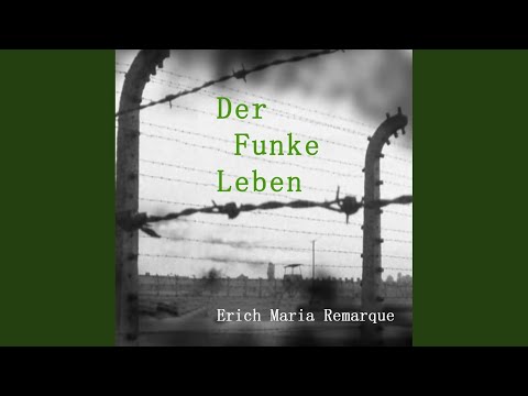 Kapitel 9.2 - Der Funke Leben