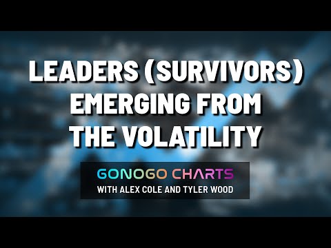 Leaders (Survivors) Emerging From The Volatility