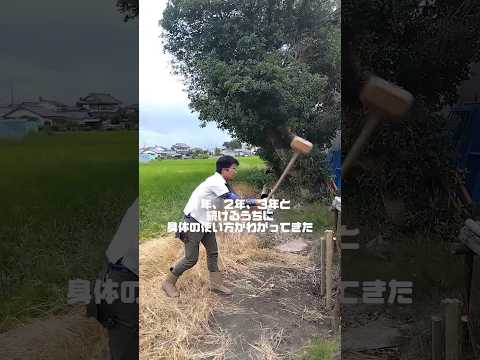 木を杭に掛けるとはどういう意味ですか? サポートを提供します。 追加の保護を提供します。 正しい方法で実行します。