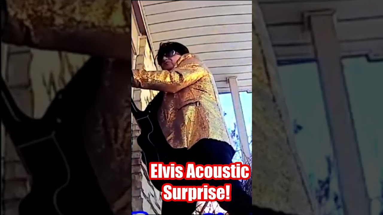 Promotional video thumbnail 3 for Pitbull Tribute • Elvis Tribute • Ultimate Party Experience