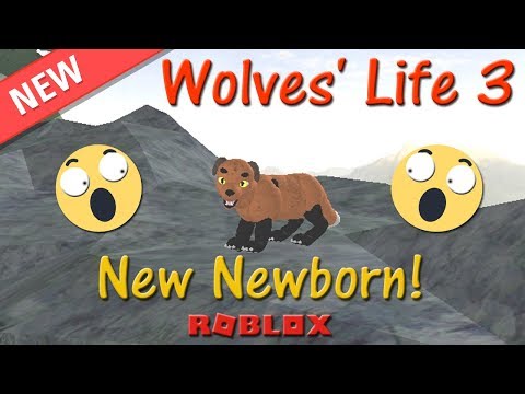 Wolf Life 3 Roblox Roleplay Baixar O Roblox Hack - roblox wolves life 3 ipad controls