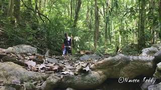 preview picture of video 'Arisinagundi falls and Kodachadri peak trek in Summer !'