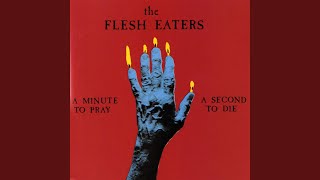 Cyrano De Berger's Back