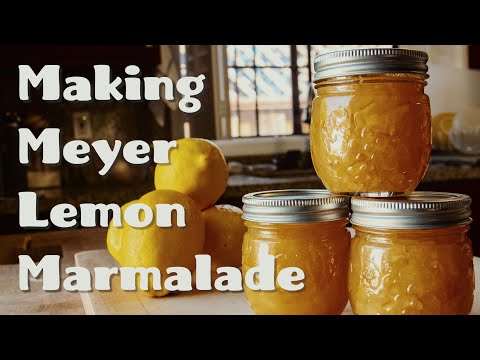 Making Meyer Lemon Marmalade