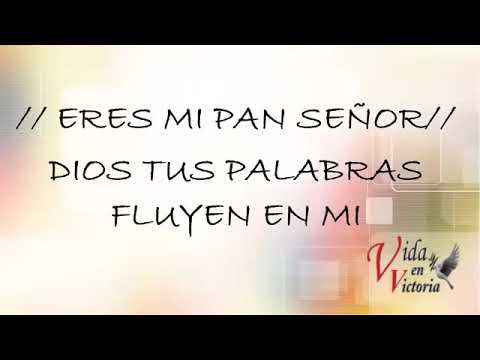 ERES MI RESPIRAR INGRID ROSARIO CON LETRA