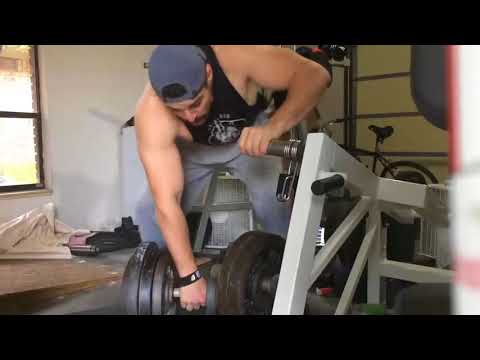 255 lbs kroc row