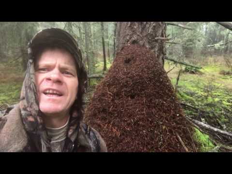 Ep.20 Chasing The Ever Elusive Washington Blacktail