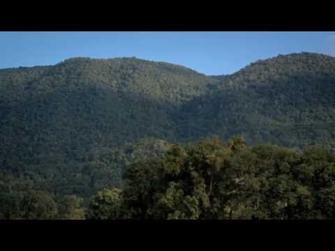 Yo Defiendo mi Tierra - ISABEL Y ÁNGEL PARRA