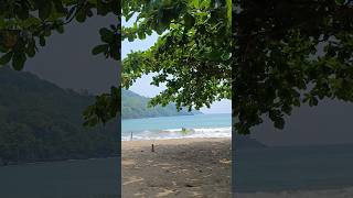 Download lagu Suasana di pesisir pantai selatan, Wediawu desa Purwodadi #tirtoyudo #wediawu #purwodadi mp3 Download lagu Suasana di pesisir pantai selatan, Wediawu desa Purwodadi #tirtoyudo #wediawu #purwodadi mp3