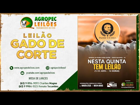 Agropecleiloes.com LEILÃO GADO DE CORTE | PADRE CÍCERO LEILÕES-PORTO NACIONAL-TO| 25/04/2024.