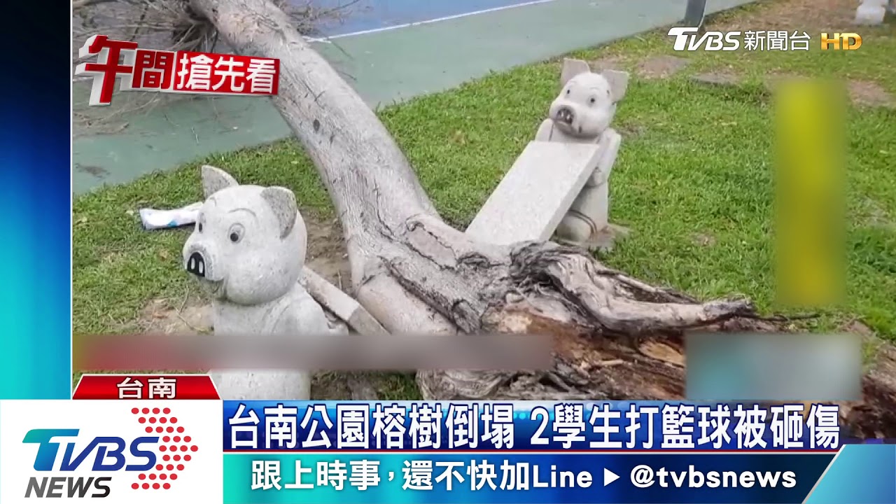 鋒面通過！台南樹倒、瀑布再現　訓練中心泡水