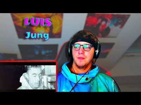 ProjektPi REACTS to LUIS - JUNG