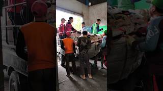 Download lagu Mandor' Cukup kasih arahan lalu pantau... mp3 Download lagu Mandor' Cukup kasih arahan lalu pantau... mp3