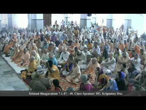 Kripamoya das S.B.7.1.47-48 - Feb 22nd 2016