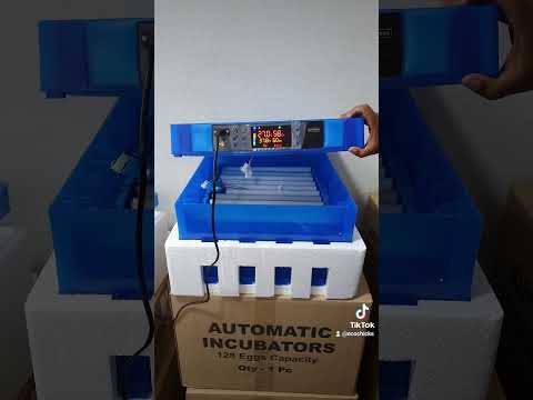 128 eggs incubator