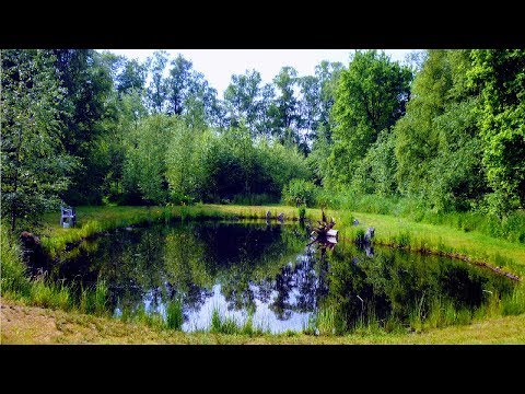 HOW TO BUILD ALL NATURAL POND WITHOUT LINER |LOW COST+MAINTENANCE |BIG BACK YARD WATER HABITAT LAKE