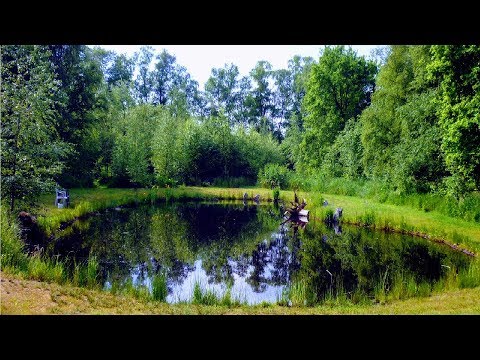 HOW TO BUILD ALL NATURAL POND WITHOUT LINER |LOW COST+MAINTENANCE |BIG BACK YARD WATER LAKE HABITAT