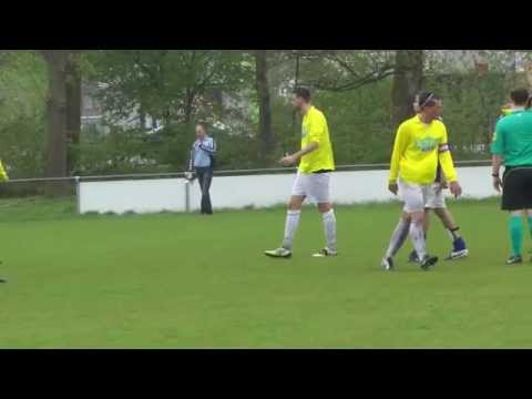 Zilvermeeuwen  Geel Wit 26 04 2015