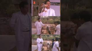 Download lagu ഈ പൂവൻകോഴി എങ്ങനെയാടോ മുട്ട ഇടാ | Dr pasupathy | Innocent | mp3