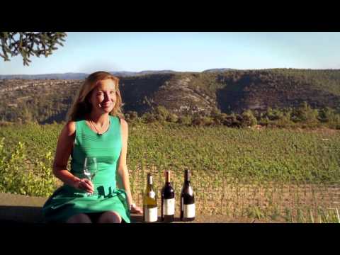 Laurent Miquel wijnen, Languedoc, Frankrijk