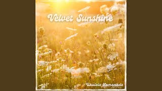 Velvet Sunshine Music Video
