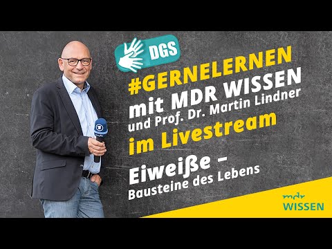 Eiweiße - Bausteine des Lebens (mit Gebärdensprache) | #gernelernen mit MDR WISSEN #9
