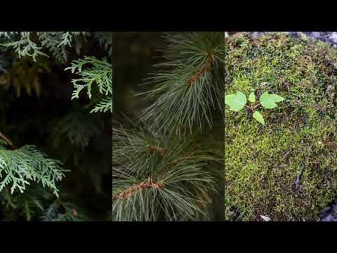 100 Acres in Durham Region - $399,900