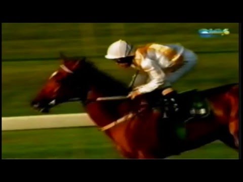 2005 BTC Cup _ Spark Of Life