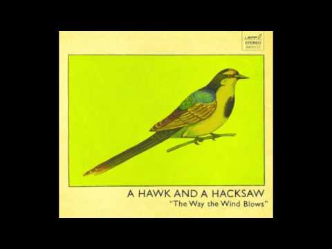 A Hawk And A Hacksaw - In The River