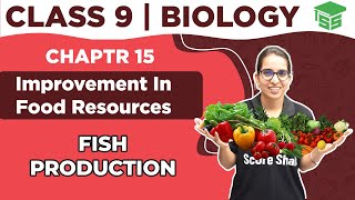 Fish Production - Improvement in Food Resources | Class 9 Biology Chapter 15