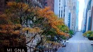 Mi gna-maitre gims(remix)