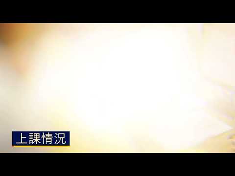 展亮技能發展中心的高中應用學習調適課程