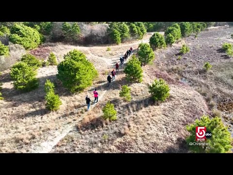 Get moving outside: Nordic walking and art trails inspire outdoor fitness in Massachusetts