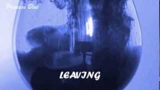 Leaving  Sophie Zelmani