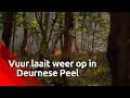 Brand in Deurnese Peel grootste natuurbrand ooit en is nog lang niet uit